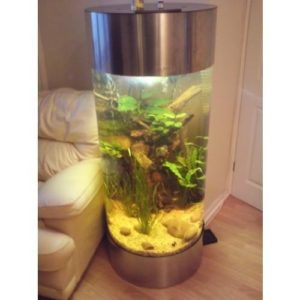 Mehr über den Artikel erfahren Aquariumsäule
