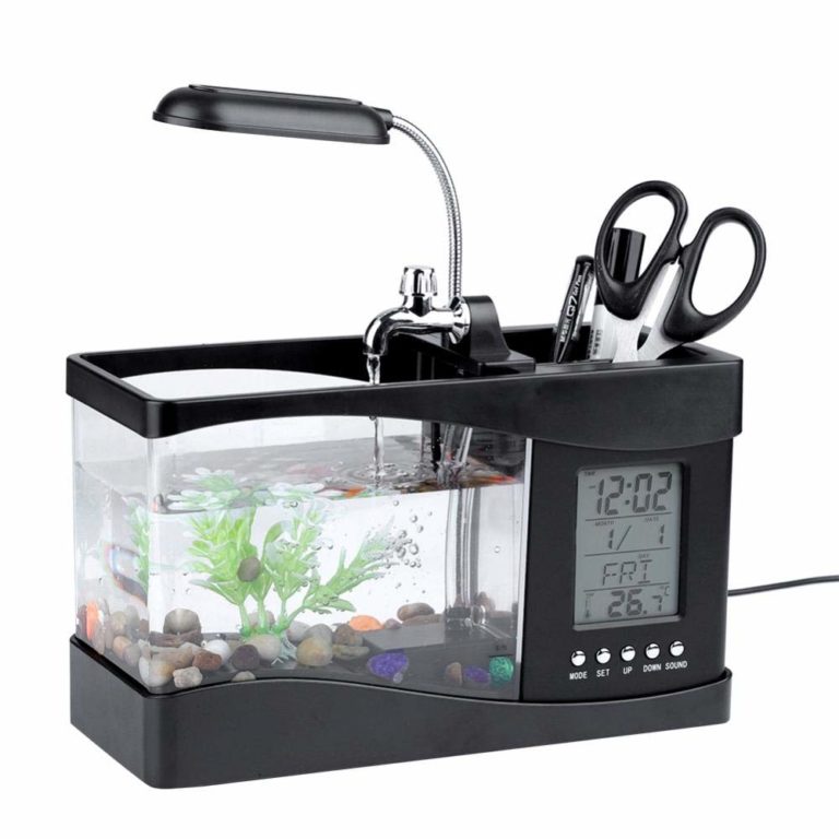 Mehr über den Artikel erfahren Tischaquarium