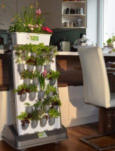 Mehr über den Artikel erfahren Vertikaler Indoor-Garten