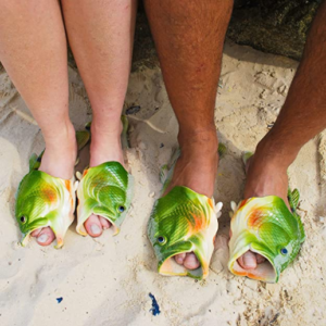 Mehr über den Artikel erfahren FischFlops