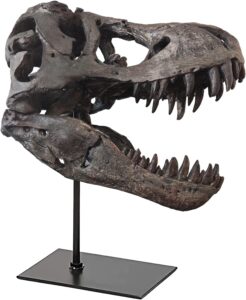 Mehr über den Artikel erfahren Tyrannosaurus Rex Schädelskulptur