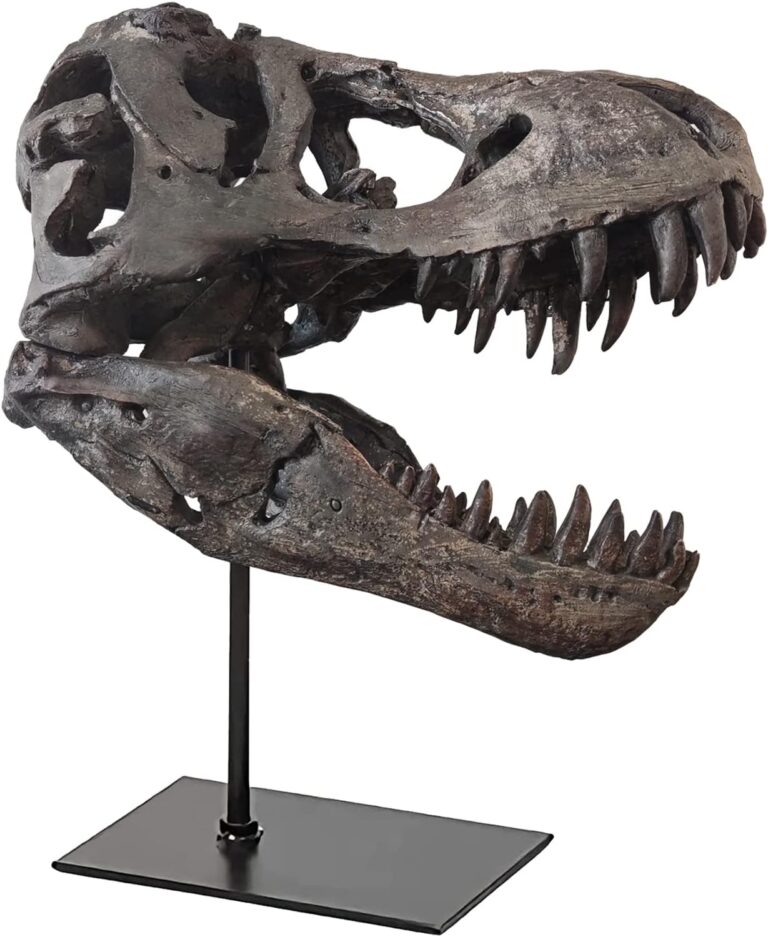 Mehr über den Artikel erfahren Tyrannosaurus Rex Schädelskulptur