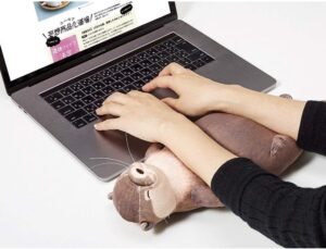 Mehr über den Artikel erfahren Otter-Handgelenkstütze